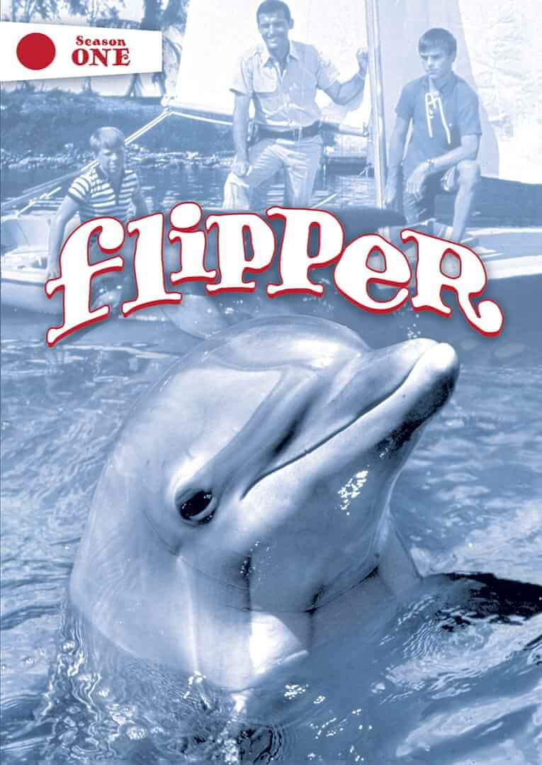 Flipper aus dem Jahr 1964 war eine berühmte Serie über einen Delphin und zwei Kinder