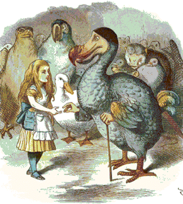 Originalillustration der Geschichte von Alice im Wunderland, wo wir eine Gruppe von Dodo sehen können