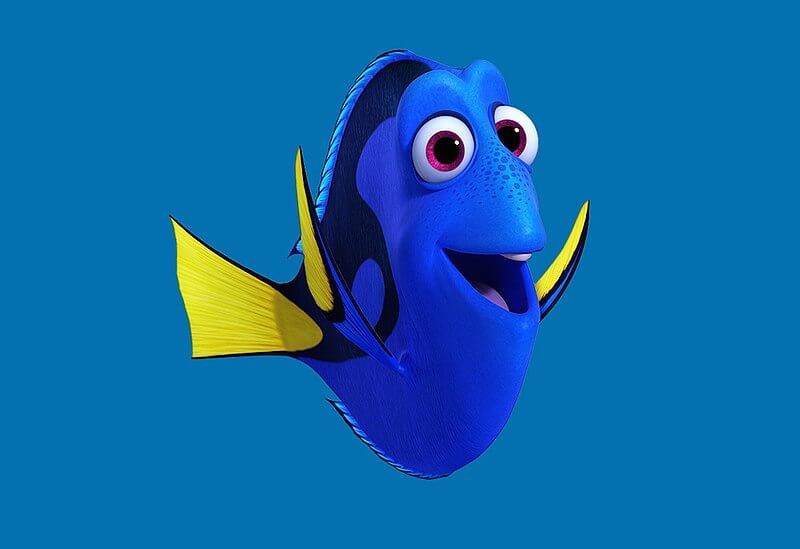 Dory ist ein blauer Surgeonfish